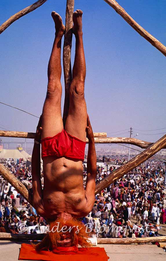 Press tower headstand 