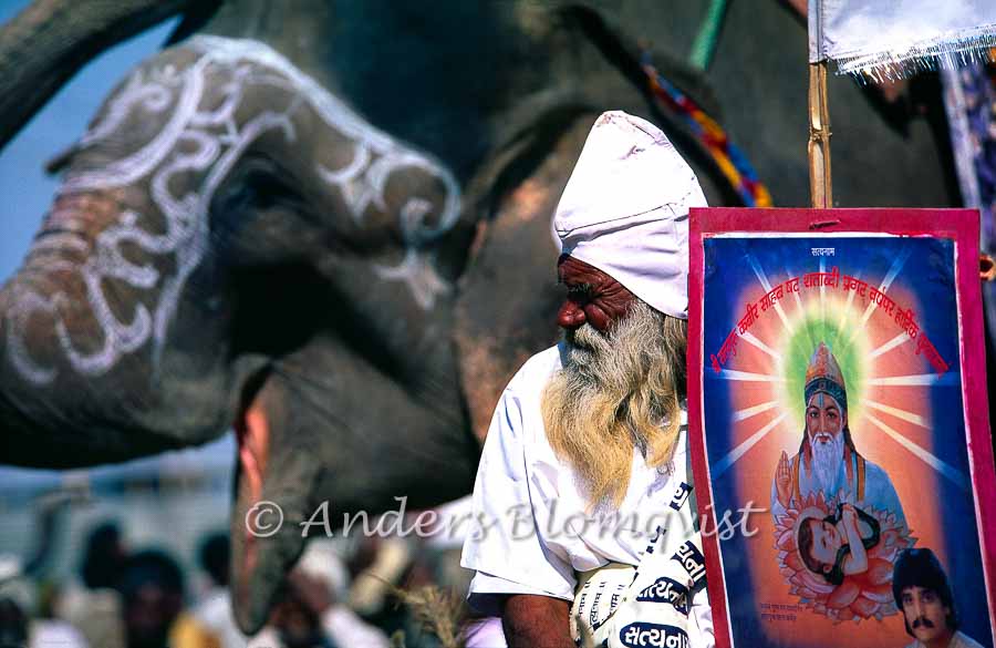  Elephant, bearded man and guru sign 